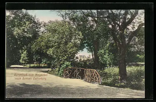 AK Coburg, Durchblick vom Hofgarten nach Schloss Callenberg