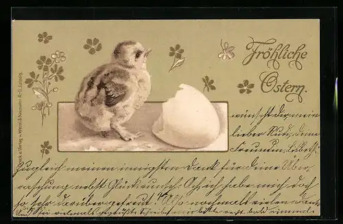 AK Frisch geschlüpftes Osterküken