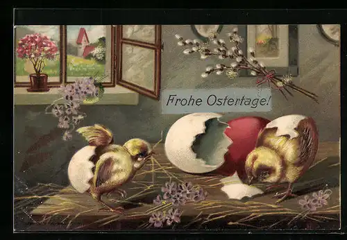 AK Osterküken schlüpfen aus den Eiern