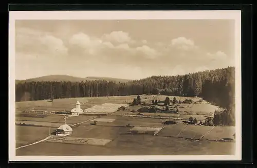 AK Altglashütten /Schwarzw., Silberfuchsfarm Excelsior aus der Vogelschau