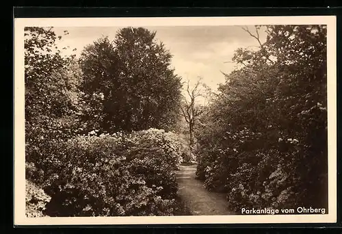 AK Ohr, Parkanlage vom Ohrberg