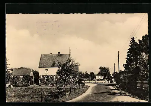 AK Diesbar-Nieschütz /Elbe, Strassenpartie mit Häusern