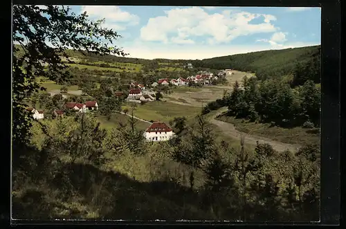 AK Wildensee /Spessart, Gesamtansicht des Ortes