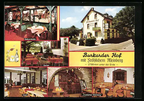 AK Klingenberg /Main, Gasthaus Burkarder Hof, Fröhlicher Weinberg, Balkanstube