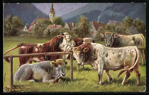 Künstler-AK August Müller - München: Rinder auf Weide