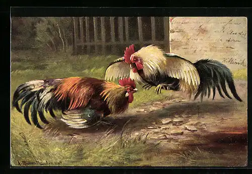 Künstler-AK August Müller - München: Zwei balzende Hähne