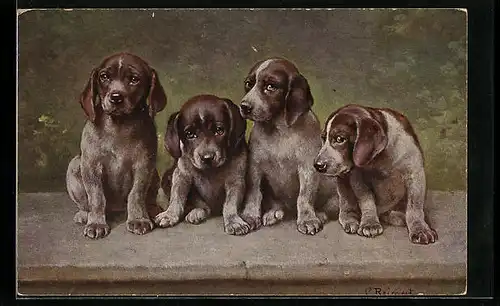 Künstler-AK Carl Reichert: Vier Welpen auf einer Mauer