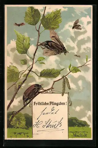 Präge-Künstler-AK Alfred Mailick: Maikäfer an Zweigen, Pfingstgruss
