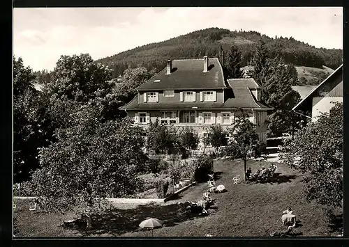 AK Schweigmatt /Schwarzw., Pension Haus Alpenblick mit Garten aus der Vogelschau
