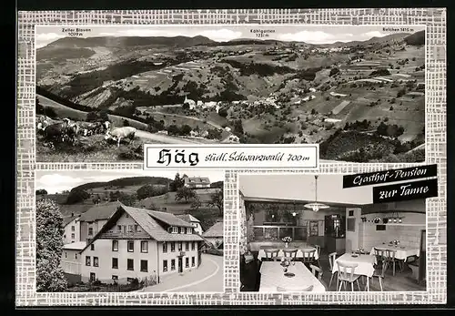 AK Häg /Schwarzw., Gesamtansicht, Gasthof-Pension zur Tanne