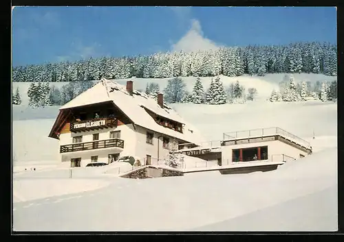 AK Todtnauberg /Schwarzw., Pension Elisabeth Fam. Fricker im Winter