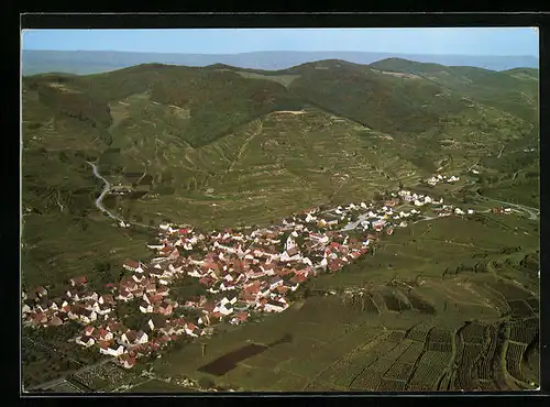 AK Oberbergen /Kaiserstuhl, Gesamtansicht aus der Vogelschau