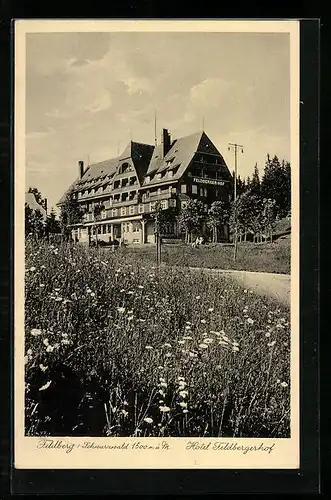 AK Feldberg /Schwarzwald, Hotel Feldbergerhof