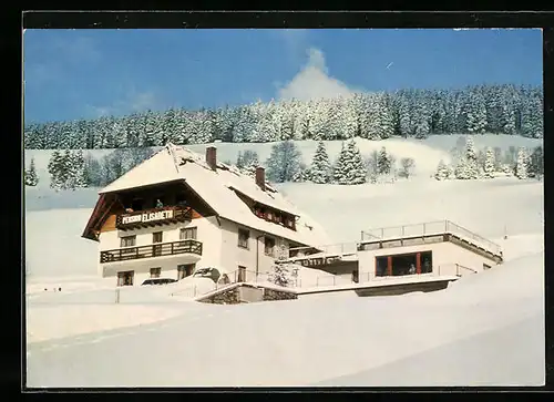 AK Todtnauberg /Schwarzwald, Pension Elisabeth im Winter