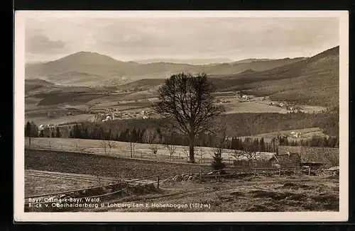 AK Lohberg-Lam, Blick vom Oberhaiderberg z. Hohenbogen