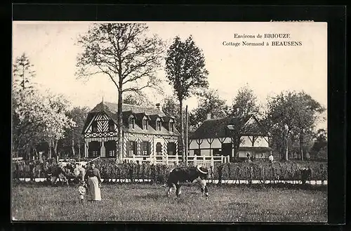 AK Beausens, Cottage Normand a village