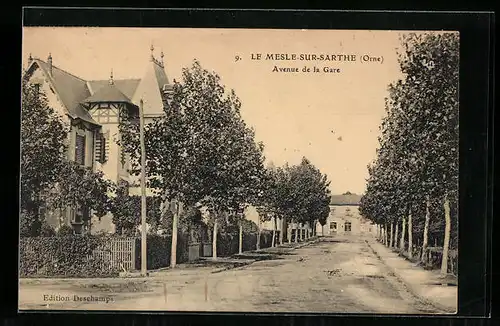 AK Le Mesle-sur-Sarthe, Avenue de la Gare