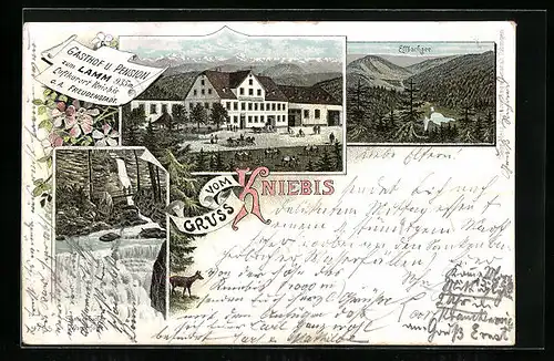 Lithographie Kniebis, Gasthaus u. Pension zum Lamm, Sankenbacher Wasserfälle, Ellbachsee