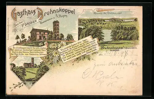 Lithographie Gremsmühlen, Gasthaus Bruhnskoppel v. F. Grieben, Aussicht von Bruhnskoppel