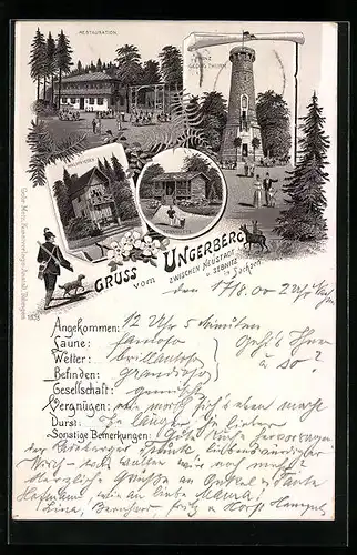 Lithographie Neustadt i. Sa., Restaurant auf dem Ungerberg, Prinz Georg Thurm, Sennhütte