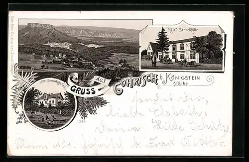 Lithographie Gohrisch b. Königstein, Hotel Sennerhütte, Villa Sennerhütte