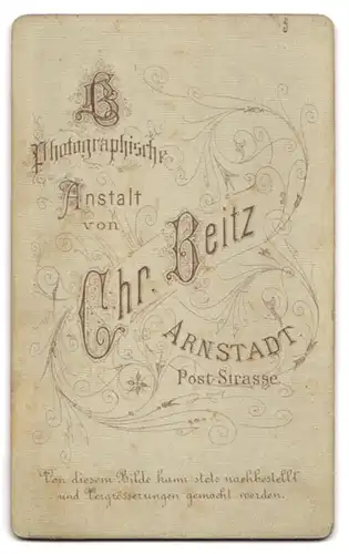 Fotografie Chr. Beitz, Arnstadt, Poststrasse, Zwei Geschwisterchen in Kleidchen