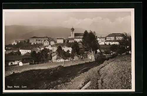 AK Lam /Bayr. Wald, Ortsansicht mit Kirche