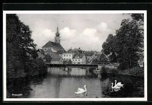 AK Pressath, Teilansicht mit Brücke und Schwänen