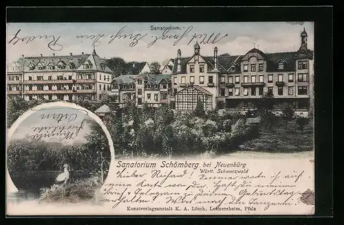 AK Neuenbürg /Württ. Schwarzwald, Sanatorium Schömberg, Storch am Wasser