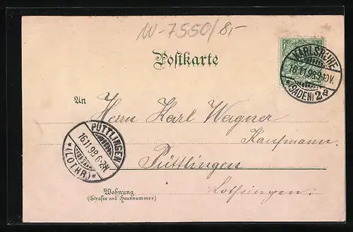 Lithographie Karlsruhe, Ortsansicht mit Parkanlage