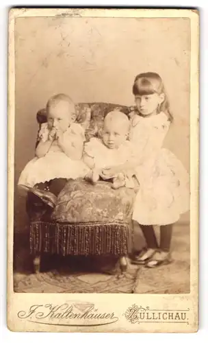 Fotografie J. Kaltenhäuser, Züllichau, drei Kinder Liese, Paul und Erwald Zutel