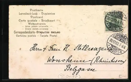 AK Jahreszahl 1903, Vergissmeinnicht und Kleeblätter