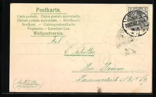 AK Neujahrsgruss, Jahreszahl 1903, Hufeisen und Glücksklee