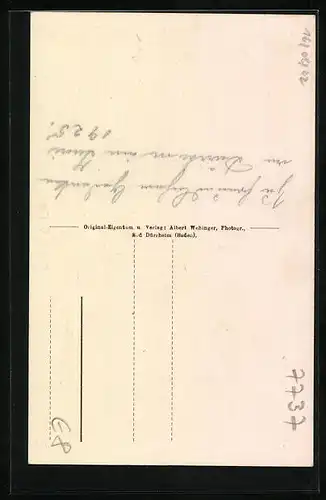 AK Bad Dürrheim i. Schwarzwald, Storchennest auf dem Pfarrhaus