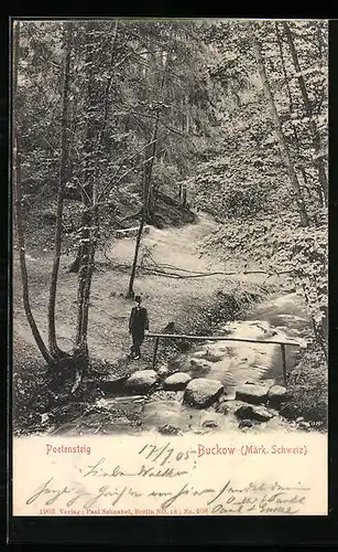 AK Buckow i. Märk. Schweiz, Poetensteig mit Waldpartie