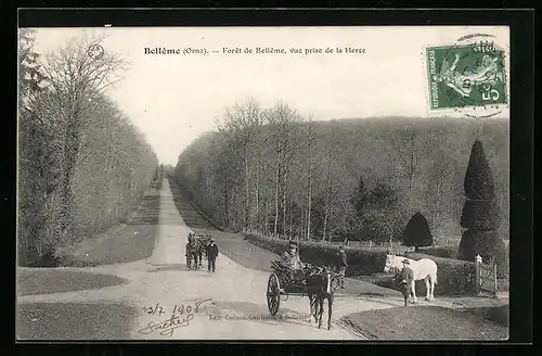 AK Bellême, Foret de Belleme, vue prise de la Herse