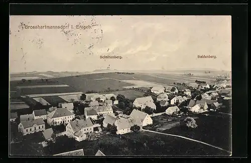 AK Grosshartmannsdorf i. Erzgeb., Totalansicht aus der Vogelschau