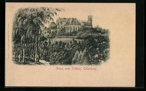 AK Coburg, Schloss Callenberg mit Anlagen