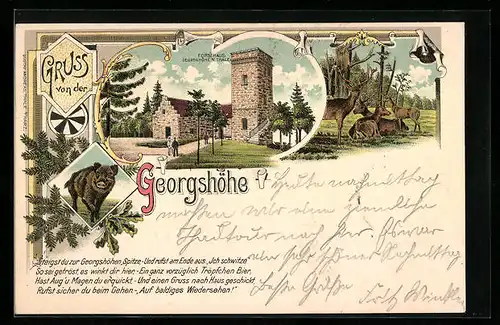 Lithographie Thale, Gasthaus Forsthaus Georgshöhe mit Aussichtsturm, Eber und Hirschen