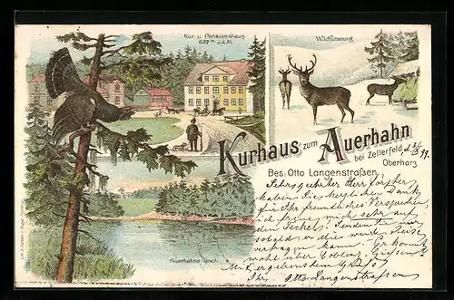 Lithographie Zellerfeld /Harz, Gasthaus Kur- und Pensionshaus zum Auerhahn O. Langenstrassen, mit Teich und Auerhahn