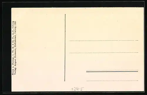 AK Coburg, Überschwemmte Callenberger- und Raststrasse im Hochwasser 1909, mit Häuser-Panorama