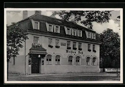 AK Krossen /Elster, Hotel Weisses Ross von P. Munkelt