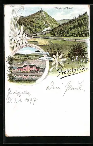 Lithographie Probstzella, Blick ins Tal, Bahnhof