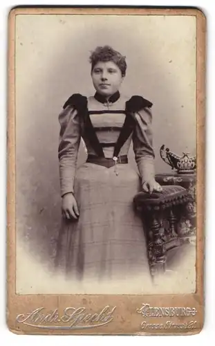 Fotografie Andr. Specht, Flensburg, Grosse Strasse 21, Junge Frau im taillierten Puffärmelkleid