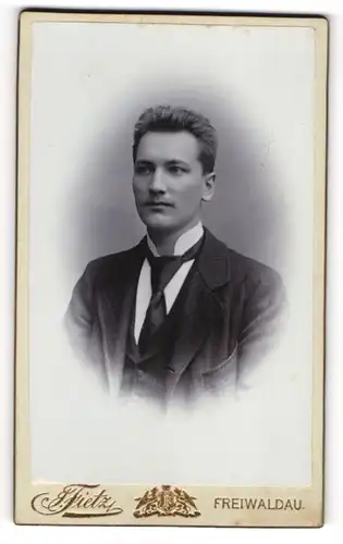 Fotografie Fietz, Freiwaldau, Rudolfsgasse, Junger Herr mit Krawatte im Anzug
