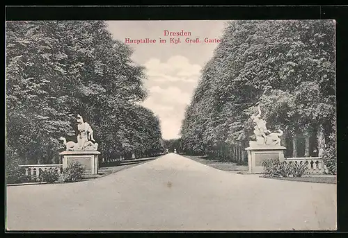 AK Dresden, Hauptallee im Kgl. Grossen Garten