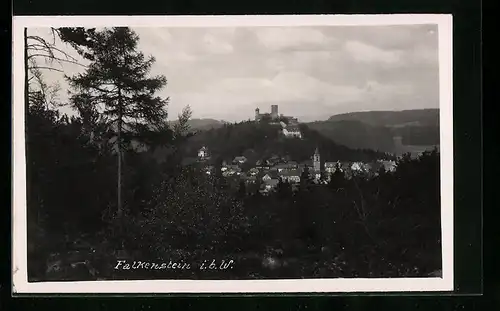 AK Falkenstein i. b. W., Teilansicht mit Burg