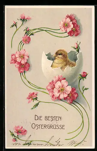 AK Osterküken schlüpft aus dem Ei, Blüten-Motiv