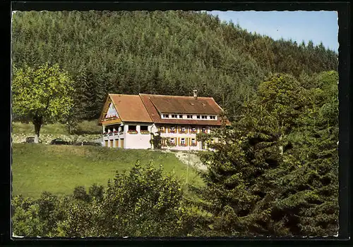 AK Saig /Hochschwarzwald, Pension Waldeck, Inh.: Familie P. Kuttruff