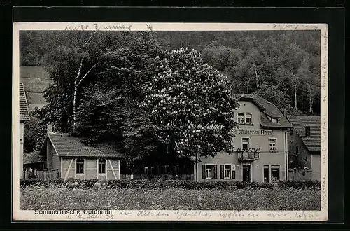 AK Goldmühl, Gasthof zum schwarzen Ross